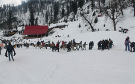 Manali honeymoon tour